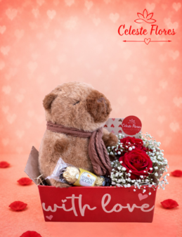 Caixa do Amor Capivara Romântica