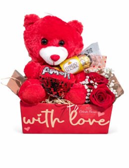 Presente Criativo Caixa Com Amor