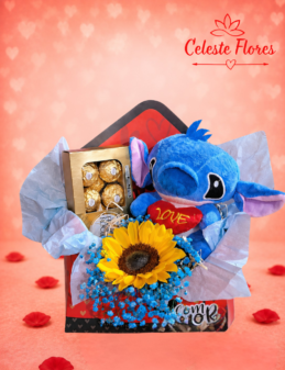 Presente Criativo envelope do Amor Stitch