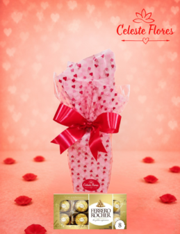 Caixa de Ferreiro Rocher