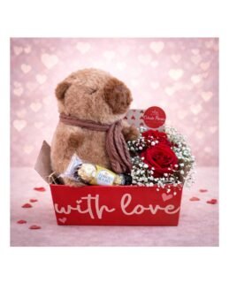 Colação Caixa do Amor Capivara