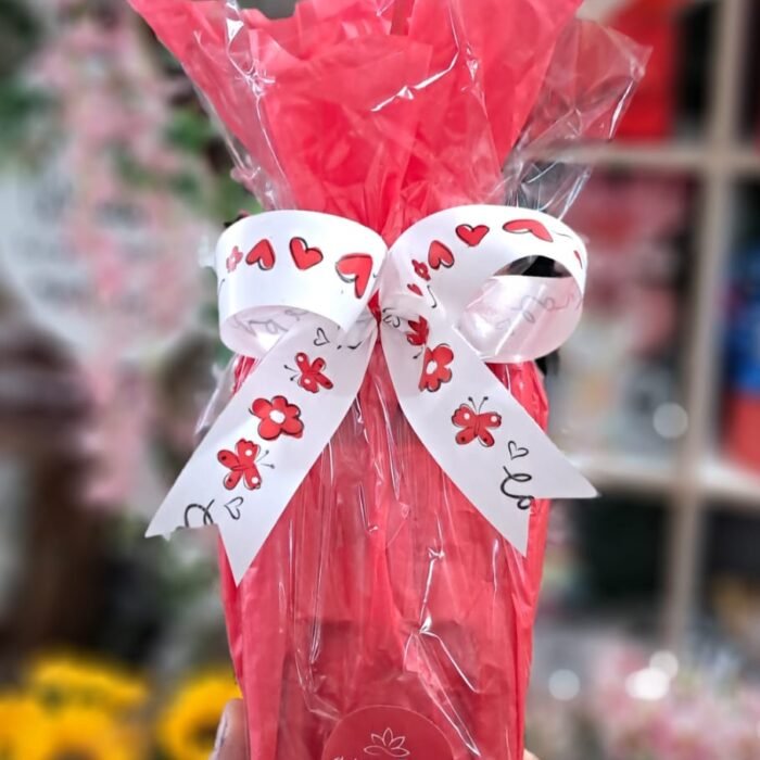 WhatsApp Image 2026-04-11 at 16.07.38 WhatsApp Image 2026-04-11 at 16.07.38