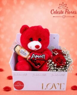 Box do Amor de Pelúcia vermelho, Ferrero Rocher e Mini buquê de rosas 🌹