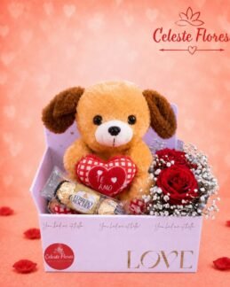 Box do Amor de Pelúcia cachorrinho coração, Ferrero Rocher e Mini buquê de rosas 🌹